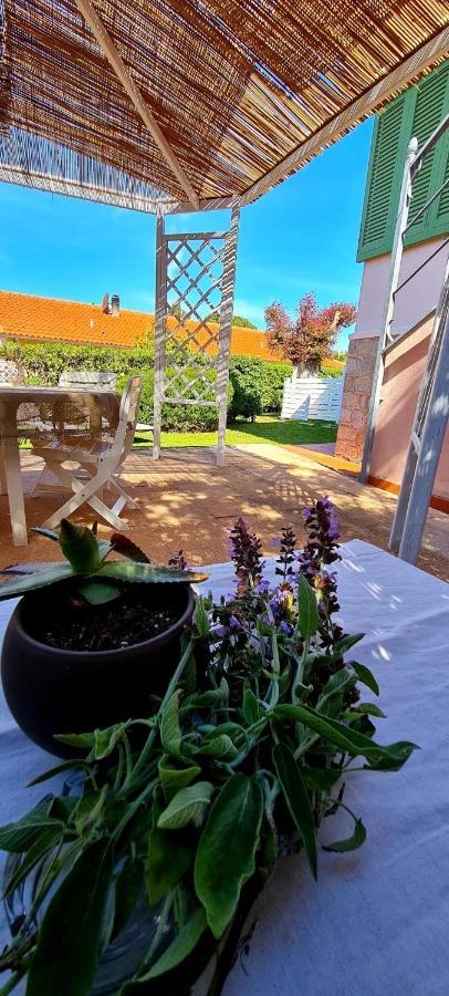 Fiore Holiday home Portoferraio